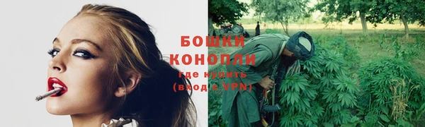 хмурый Вяземский