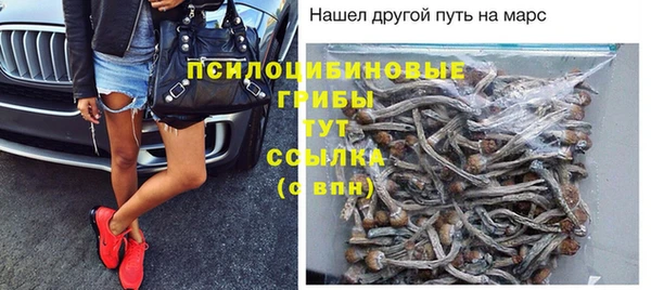 хмурый Вяземский