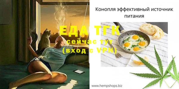хмурый Вяземский