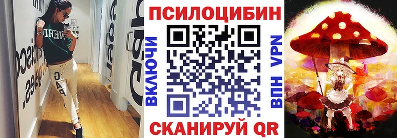 Галлюциногенные грибы Cubensis  МЕГА зеркало  Зверево  цены  